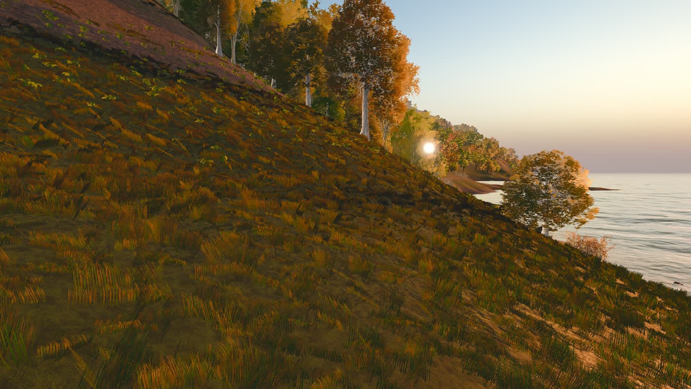 Autumn trees on a hillside above the sea at golden hour